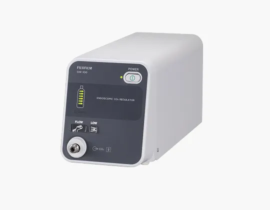 CO2 Regulator GW-100